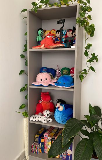 WhatsApp Image 2025-01-23 at 22.06.40 (1)